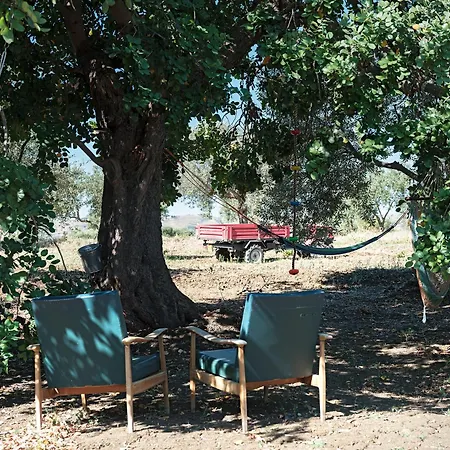 Apartmán La Casa Di Gioggio Ioppolo Giancaxio