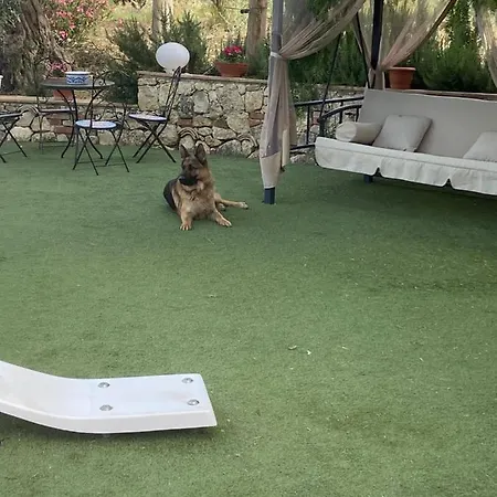 Apartment La Casa Di Gioggio Ioppolo Giancaxio